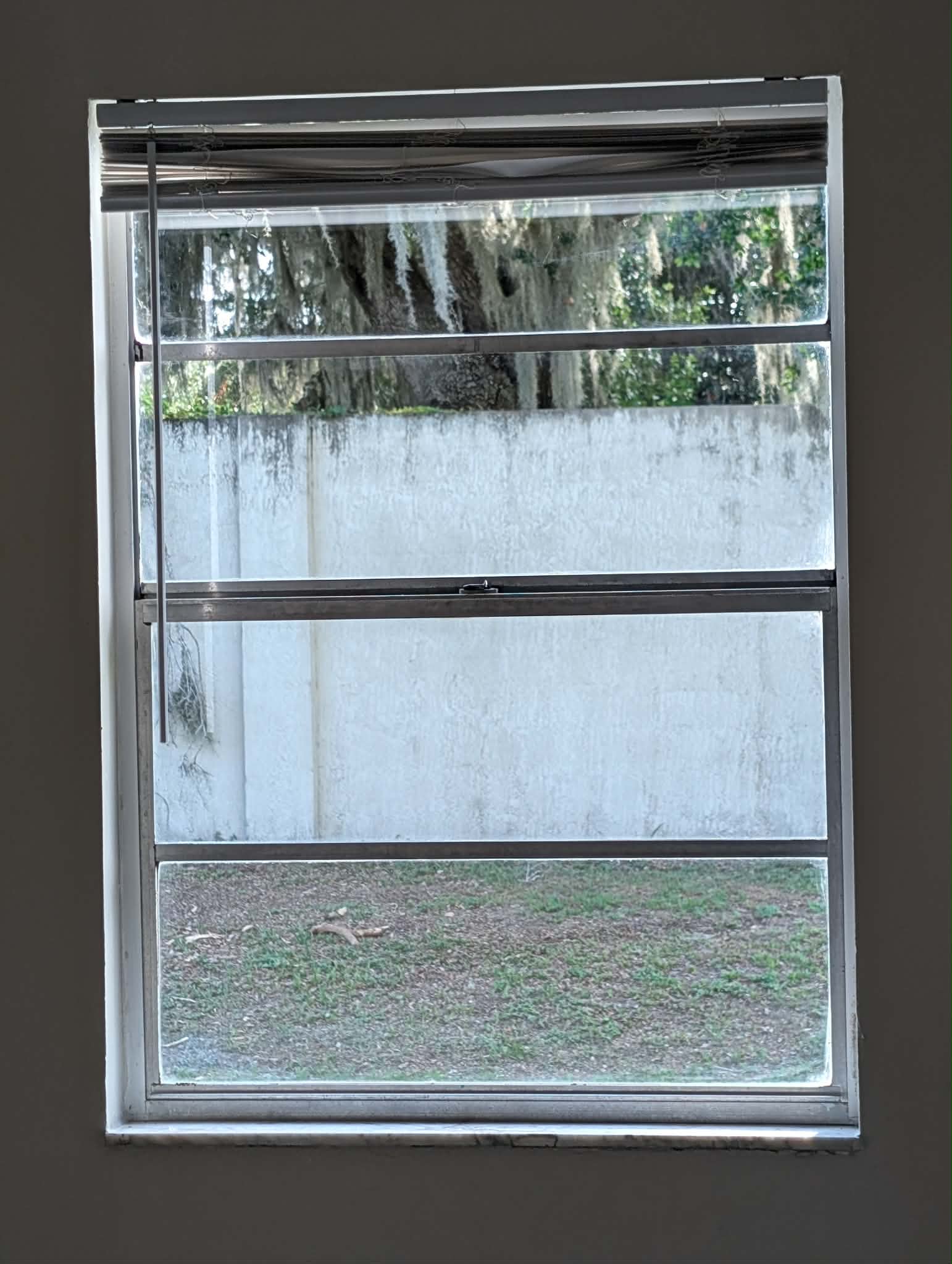 Real job — close-up of a streak-free interior window with view to the backyard